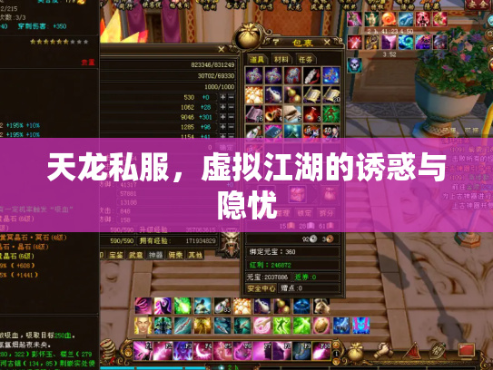 天龙私服，虚拟江湖的诱惑与隐忧