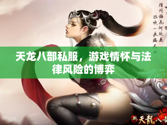 天龙八部私服，游戏情怀与法律风险的博弈