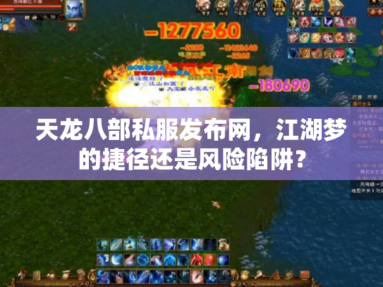 天龙八部私服发布网，江湖梦的捷径还是风险陷阱？