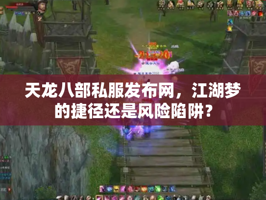 天龙八部私服发布网，江湖梦的捷径还是风险陷阱？