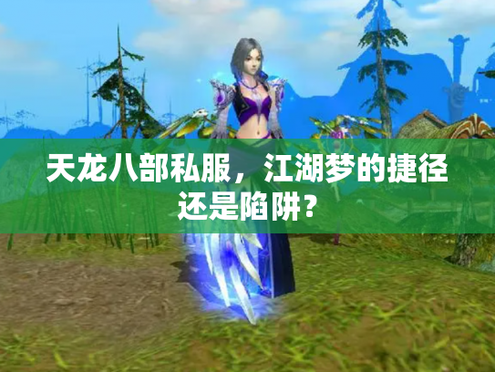天龙八部私服，江湖梦的捷径还是陷阱？