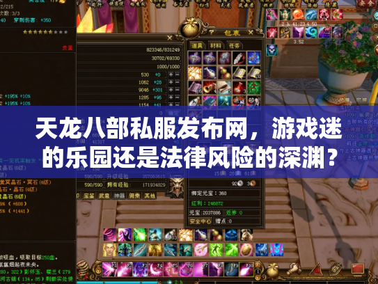 天龙八部私服发布网，游戏迷的乐园还是法律风险的深渊？