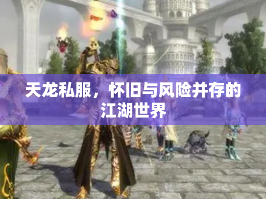 天龙私服，怀旧与风险并存的江湖世界