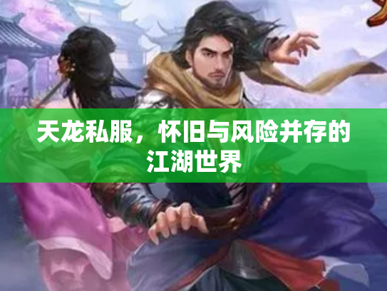 天龙私服，怀旧与风险并存的江湖世界