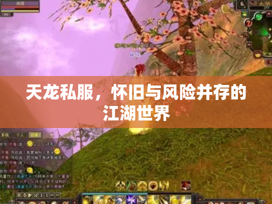 天龙私服，怀旧与风险并存的江湖世界