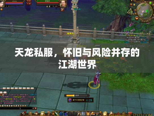 天龙私服，怀旧与风险并存的江湖世界