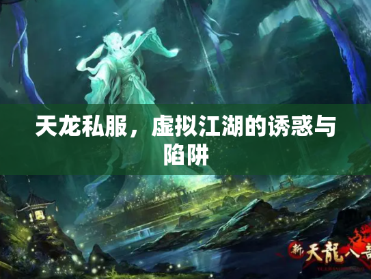 天龙私服，虚拟江湖的诱惑与陷阱