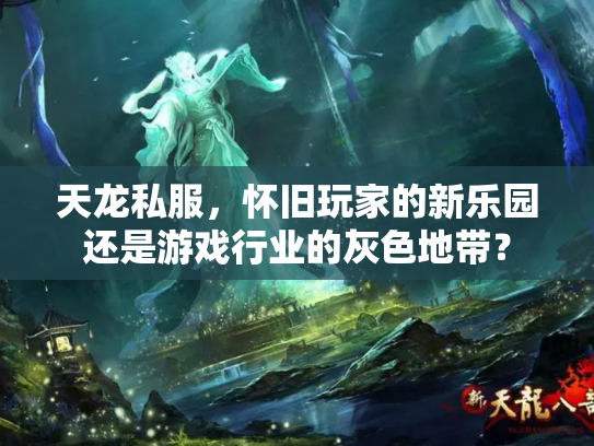 天龙私服，怀旧玩家的新乐园还是游戏行业的灰色地带？