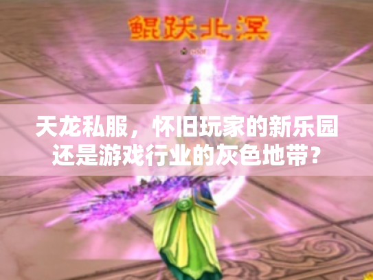 天龙私服，怀旧玩家的新乐园还是游戏行业的灰色地带？