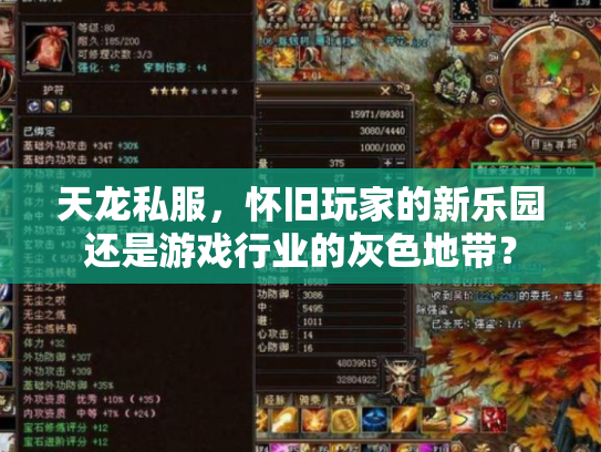 天龙私服，怀旧玩家的新乐园还是游戏行业的灰色地带？