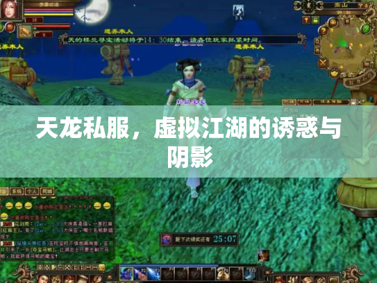 天龙私服，虚拟江湖的诱惑与阴影
