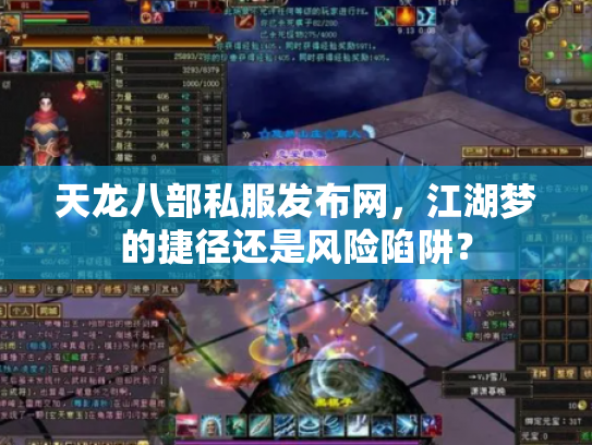 天龙八部私服发布网，江湖梦的捷径还是风险陷阱？