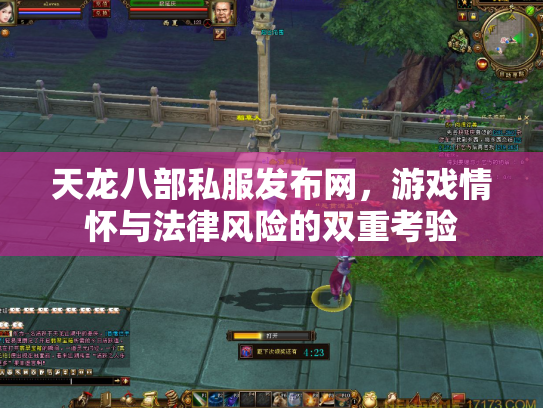 天龙八部私服发布网，游戏情怀与法律风险的双重考验