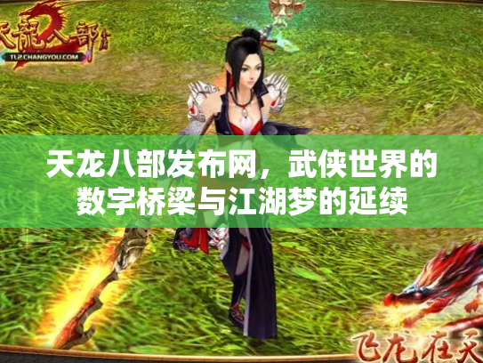 天龙八部发布网，武侠世界的数字桥梁与江湖梦的延续