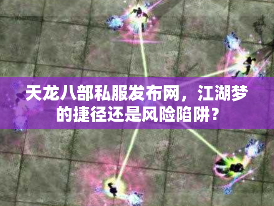 天龙八部私服发布网，江湖梦的捷径还是风险陷阱？