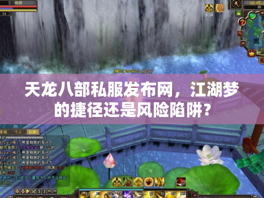 天龙八部私服发布网，江湖梦的捷径还是风险陷阱？