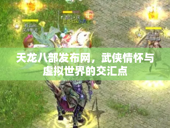 天龙八部发布网，武侠情怀与虚拟世界的交汇点