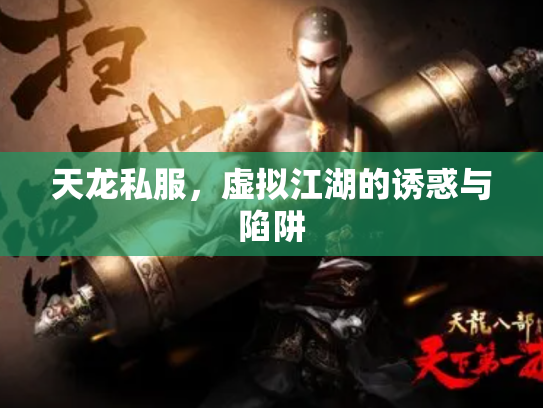 天龙私服，虚拟江湖的诱惑与陷阱