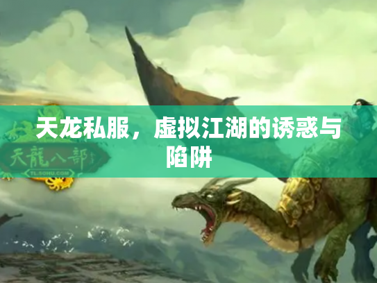 天龙私服，虚拟江湖的诱惑与陷阱