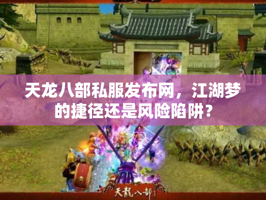 天龙八部私服发布网，江湖梦的捷径还是风险陷阱？