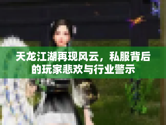 天龙江湖再现风云，私服背后的玩家悲欢与行业警示