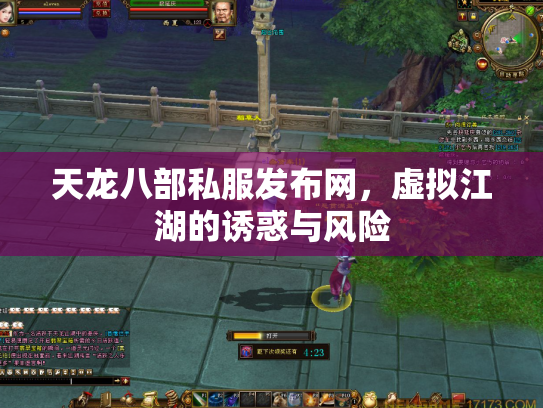 天龙八部私服发布网，虚拟江湖的诱惑与风险