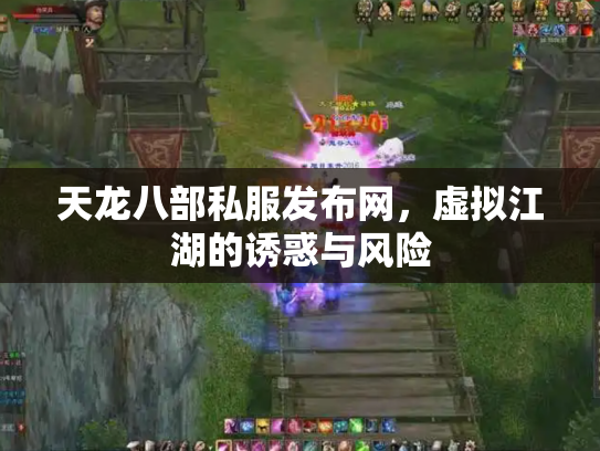 天龙八部私服发布网，虚拟江湖的诱惑与风险