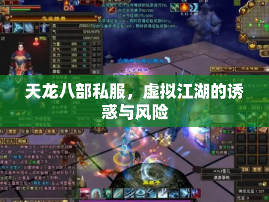 天龙八部私服，虚拟江湖的诱惑与风险