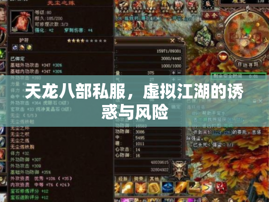 天龙八部私服，虚拟江湖的诱惑与风险