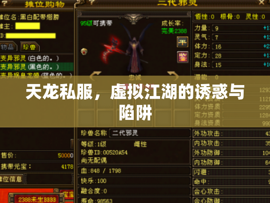 天龙私服，虚拟江湖的诱惑与陷阱