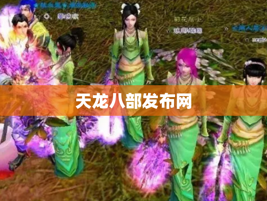 天龙八部发布网