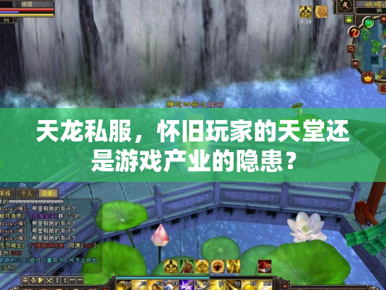 天龙私服，怀旧玩家的天堂还是游戏产业的隐患？