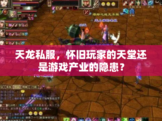 天龙私服，怀旧玩家的天堂还是游戏产业的隐患？