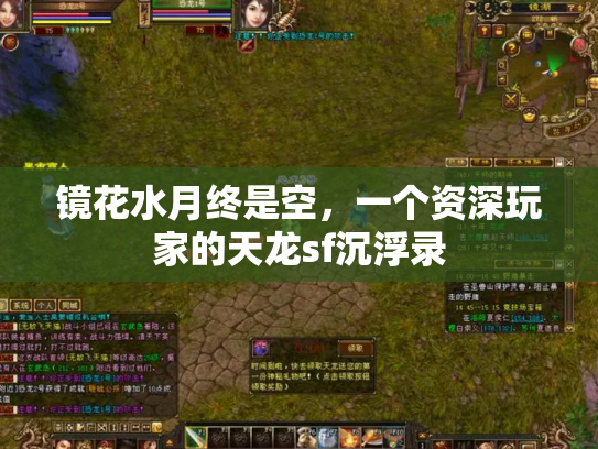 镜花水月终是空，一个资深玩家的天龙sf沉浮录