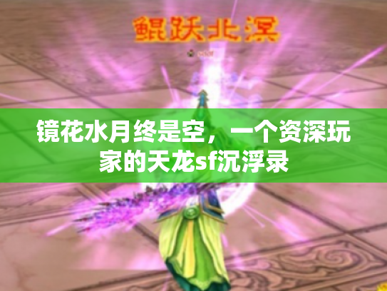 镜花水月终是空，一个资深玩家的天龙sf沉浮录