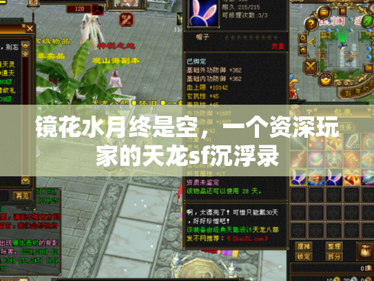 镜花水月终是空，一个资深玩家的天龙sf沉浮录