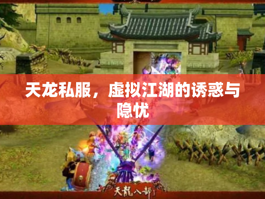 天龙私服，虚拟江湖的诱惑与隐忧