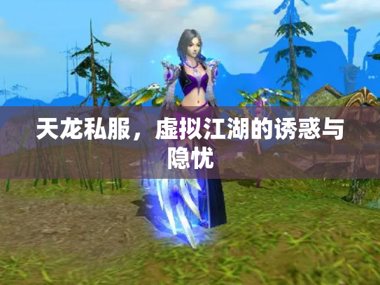 天龙私服，虚拟江湖的诱惑与隐忧