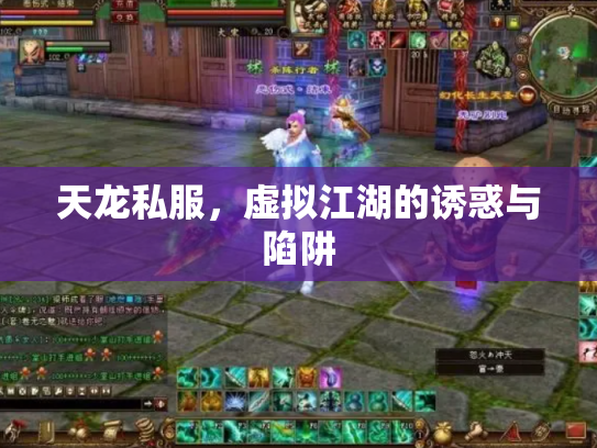 天龙私服，虚拟江湖的诱惑与陷阱