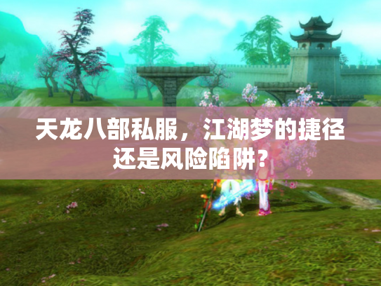 天龙八部私服，江湖梦的捷径还是风险陷阱？