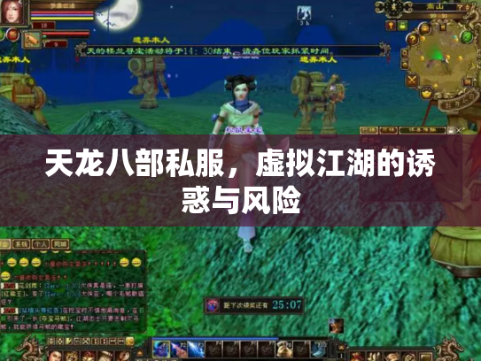 天龙八部私服，虚拟江湖的诱惑与风险