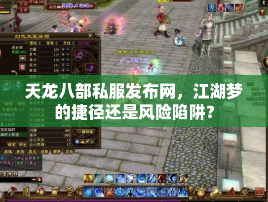 天龙八部私服发布网，江湖梦的捷径还是风险陷阱？
