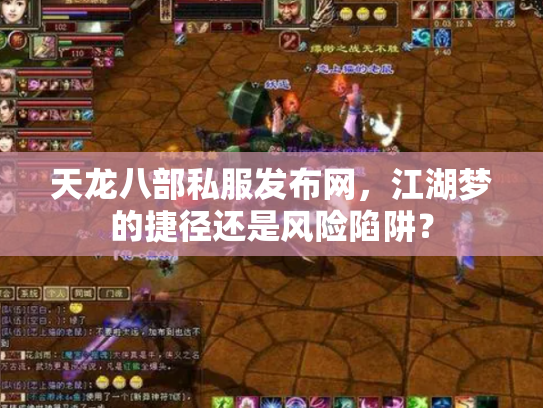 天龙八部私服发布网，江湖梦的捷径还是风险陷阱？
