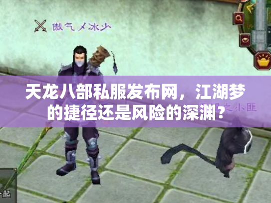 天龙八部私服发布网，江湖梦的捷径还是风险的深渊？