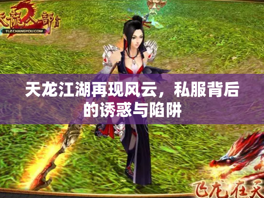 天龙江湖再现风云，私服背后的诱惑与陷阱