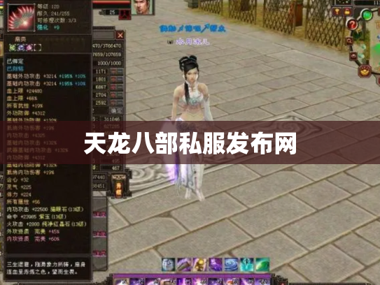天龙八部私服发布网