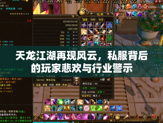 天龙江湖再现风云，私服背后的玩家悲欢与行业警示