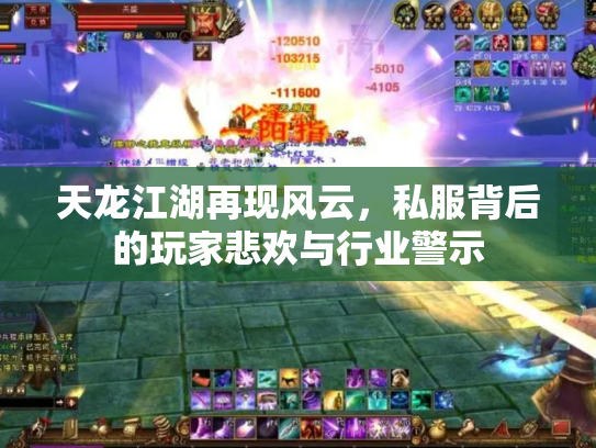 天龙江湖再现风云，私服背后的玩家悲欢与行业警示