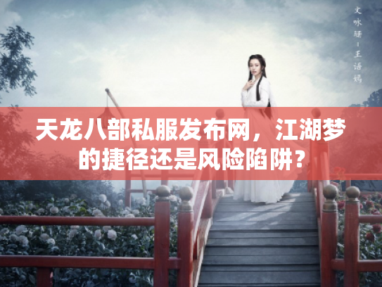 天龙八部私服发布网，江湖梦的捷径还是风险陷阱？