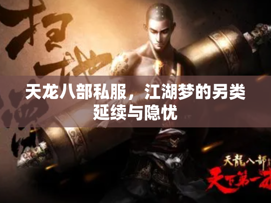 天龙八部私服，江湖梦的另类延续与隐忧